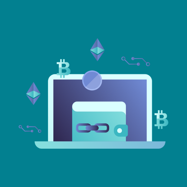 en kryptoplånbok används för att genomföra transaktioner med nfts och kryptovalutor på blockkedjan