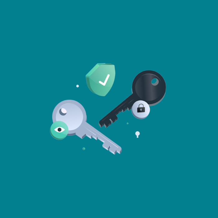 Privata och publika nycklar tillåter dig att hantera din kryptoplånbok