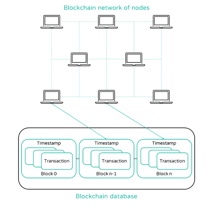 Nodes on the blockchain
