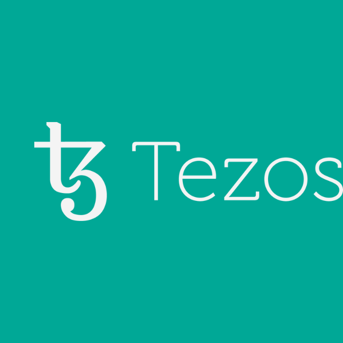 Getting Started As An NFT Artist On Tezos Using Hicetnunc - XTZ News